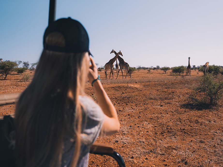 Game drive at Jabulani Safari