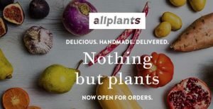 healthy deliver plant based vegan meals