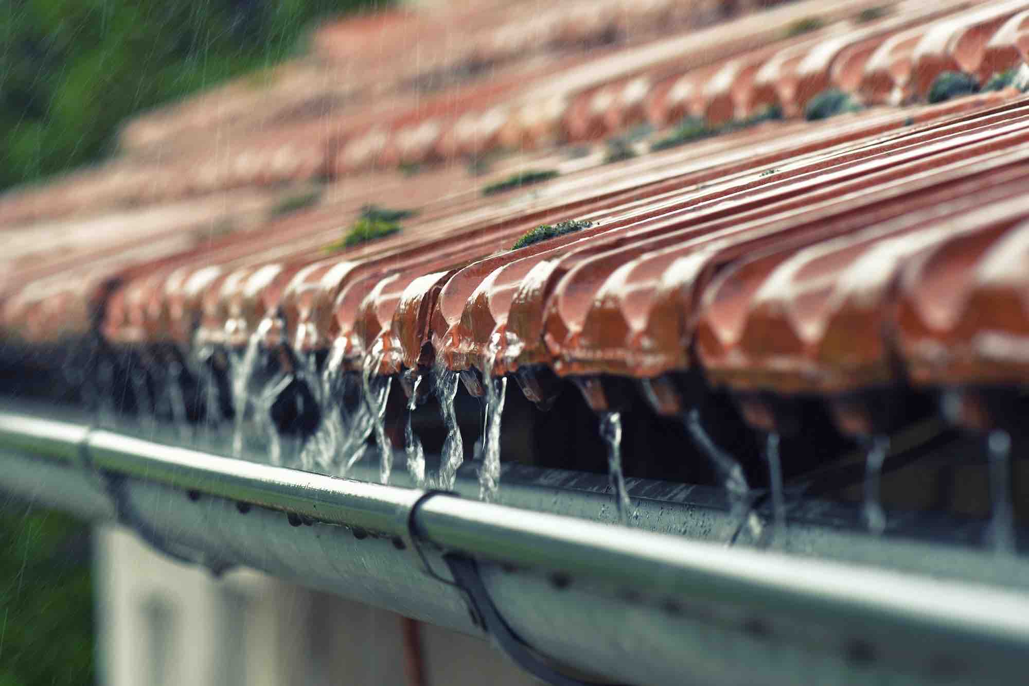 How to harvest rainwater, uses and advantages