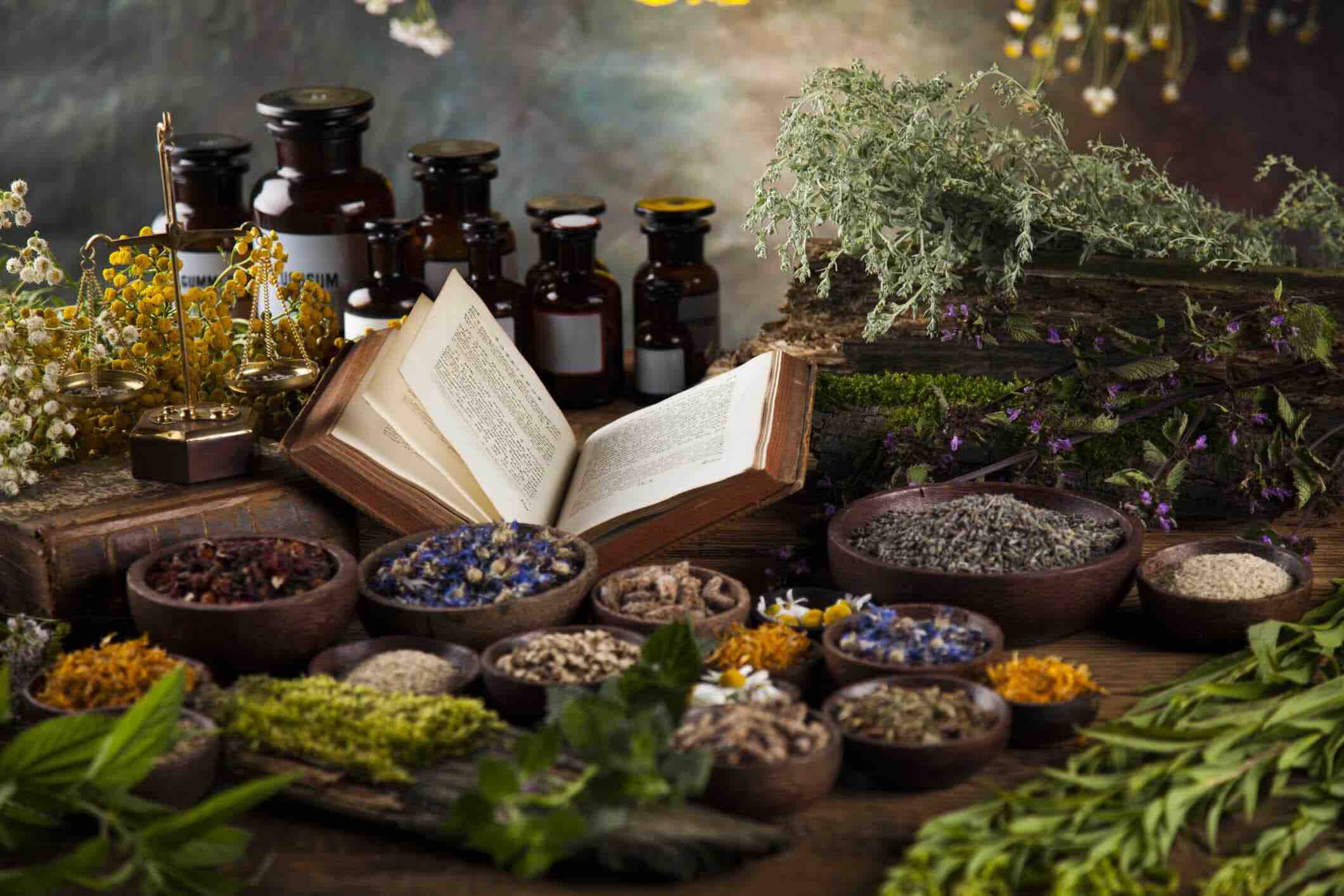 What is Naturopathy