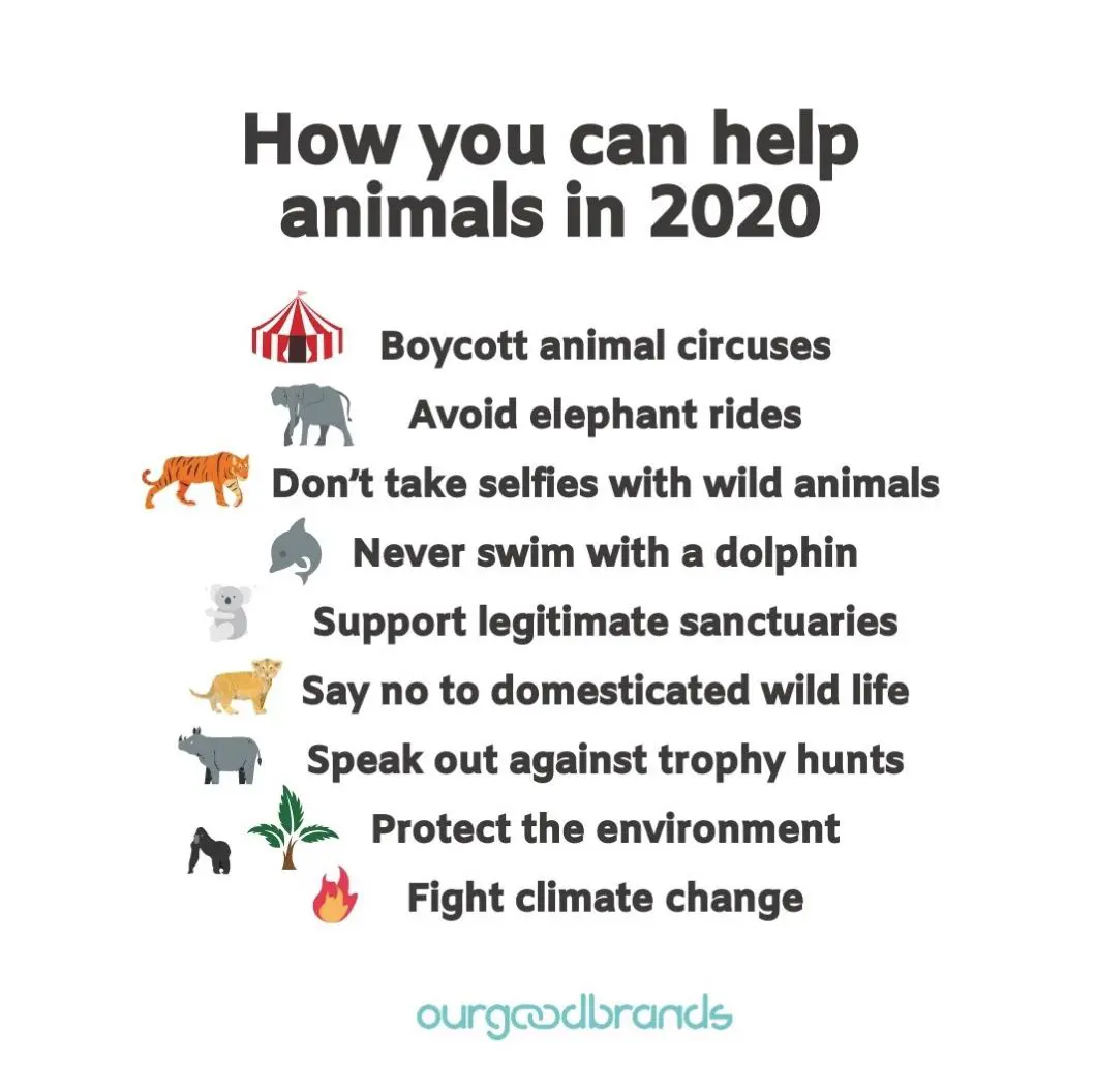 How To Protect Animals - Deepcontrol3