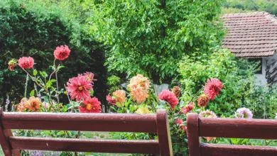 How to Create a More Sustainable Backyard Without Sacrificing Style